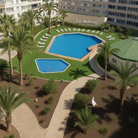 Residence Los Molinos 马斯帕洛马斯 外观 照片
